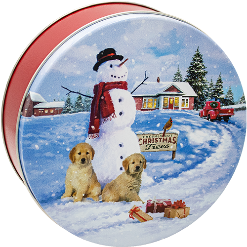 2C Snowman With Labs