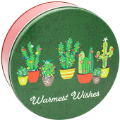 2C Festive Cacti 