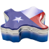 Texas Shaped Can - Flag