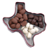 3-Cavity Insert for  Texas Shaped Tin